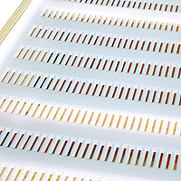 Propolis & Gelée Royale Ernte