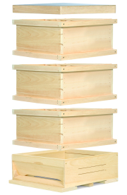 Segeberger Holzbeute III