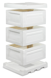 Combibeute Langstroth