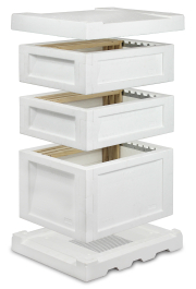 Combibeute Dadant Blatt