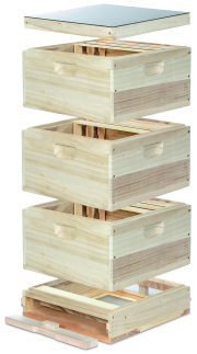 11er Normalmaß Beute mit Hochboden