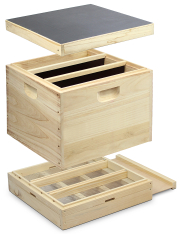 11er Normalmaß Beute Ablegerkasten 1,5