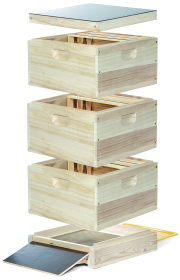 11er Normalmaß Beute mit Flachboden