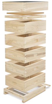 Lorenzbeute Dadant US Honig mit Varroaboden