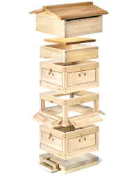 Warré Beute mit Rundum-Fensterzarge und Einfachboden