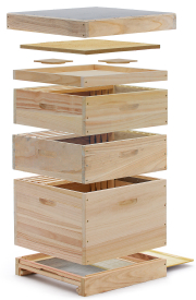 12er Dadant US Holzbeute II