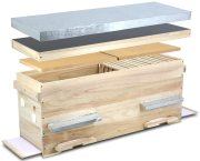 Golz Einraumbeute City-Box