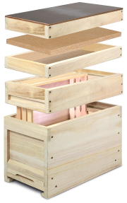 Bieno® Ablegerkasten DN 1,5