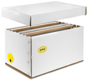 SIPA® Transport- und Ableger-Box 6 W Dadant US