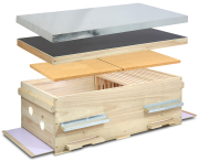 Dadant US Einraumbeute City Box