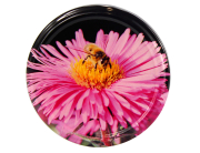 82er TO Asternblüte