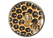 82er TO Deckel ApiSina® Wabe schwarz mit Biene