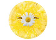 82er TO Deckel ApiSina® Bienen auf Margerite