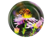 82er TO Deckel ApiSina® Biene auf Aster