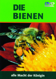 DVD - Die Bienen