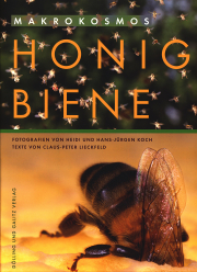 Autoren: Koch/Koch/Lieckfeld