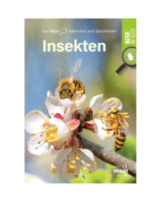 Autor: Neuer Kaiser Verlag, Insekten