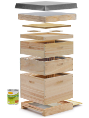 Starterset "12er Dadant US"