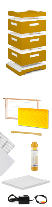 Starterset "Frankenbeute Zander"